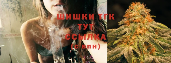 круглые Вяземский
