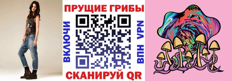 купить наркотики сайты  Джанкой  Псилоцибиновые грибы мухоморы 